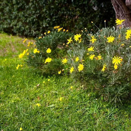 Holiday home La Casa Di Caterina: Nature,relax And Private Garden Lefkada City