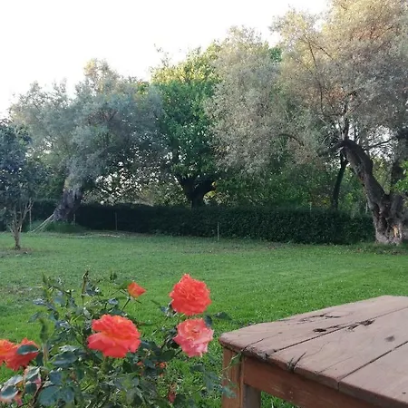 La Casa Di Caterina: Nature,relax And Private Garden בית נופש Lefkáda