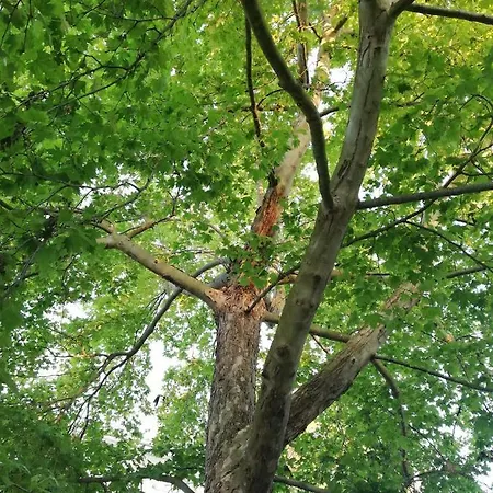 La Casa Di Caterina: Nature,relax And Private Garden 度假居