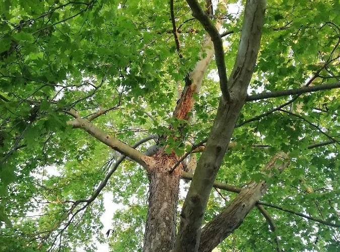 La Casa Di Caterina: Nature,relax And Private Garden Dom wakacyjny